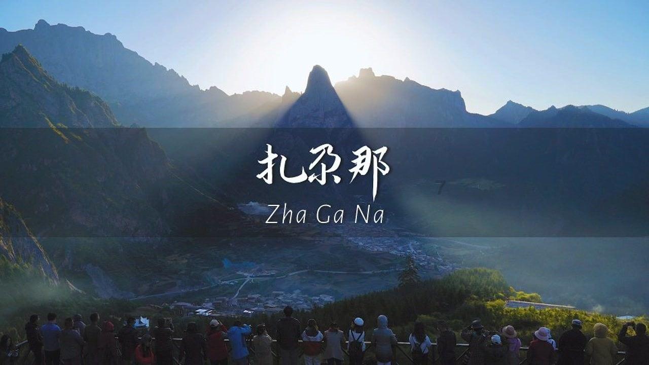 疯狂的小猫