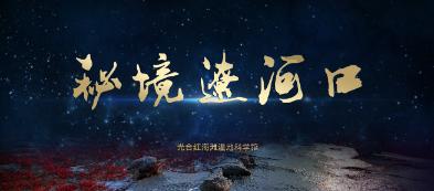 眼镜蛇秘密行动