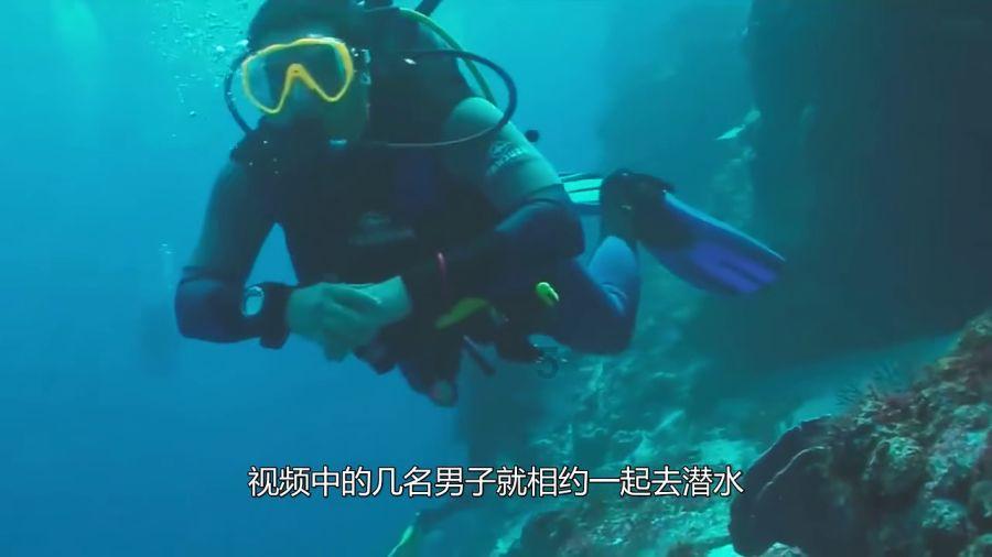 古怪猫咪逃脱