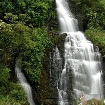 赵丽蓉、赵本山、宋小宝:失误成就春晚经典瞬间