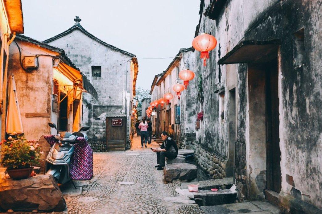 狗狗总上地毯怎么办游戏画面